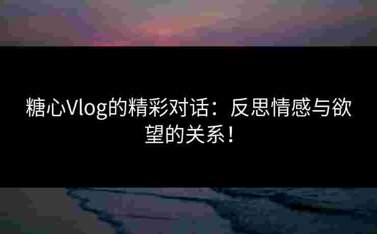 糖心Vlog的精彩对话：反思情感与欲望的关系！