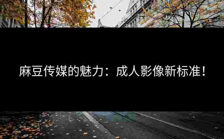 麻豆传媒的魅力：成人影像新标准！